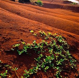 苹果耗费约6年自研MicroLED屏幕 未来将用于iPhone