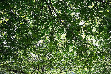 《浪人崛起》港服PS商店开启预购 标准版定价568港币