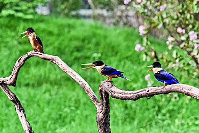 网传索尼预测2024财年Q3季度PS5销量将超千万台